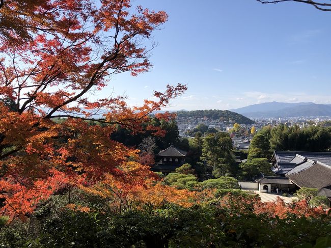 気軽に旅行ができなくなった2020年。。<br /><br />楽しみがなくなってしまったけど、<br /><br />これは…<br /><br />逆にチャンスかも。。<br /><br />ここまで観光客が少ない京都は、<br /><br />なかなかない。。<br /><br />ということで、<br /><br />通常なら、観光客が多すぎて行こうとは思わないところに<br /><br />順に行ってみることにしました。<br /><br />第12弾。