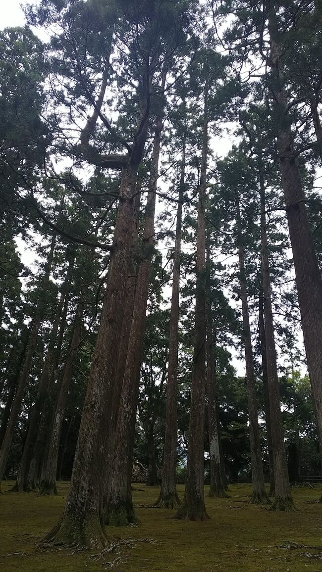 二年ぶり？！コロナのおかげで叶った家族旅行 ～鹿児島編⑥～