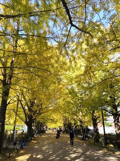 ☆ 立川パレスホテル スーパーホテルうたたねの湯☆グリーンスプリングス　昭和公園　No2　