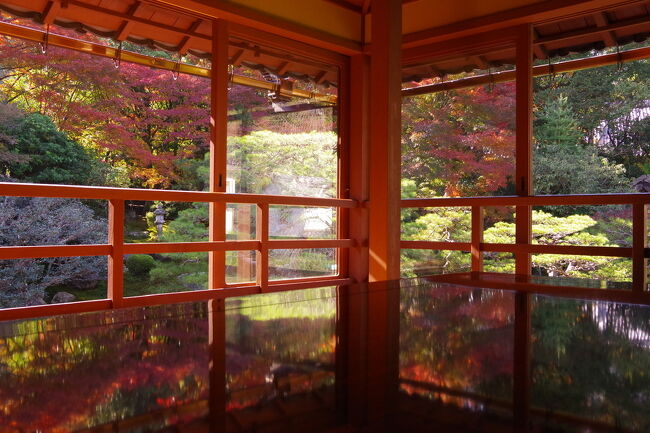 コロナ禍でもやっぱり堪能したかった ソーシャルディスタンスを守れる滋賀の 年の紅葉 大津 滋賀県 の旅行記 ブログ By Juniper Breezeさん フォートラベル コロナ禍でもやっぱり堪能したかった ソーシャルディスタンスを守れる滋賀の 年の紅葉 大津 滋賀県 の旅行記 ブログ By Juniper Breezeさん フォートラベル