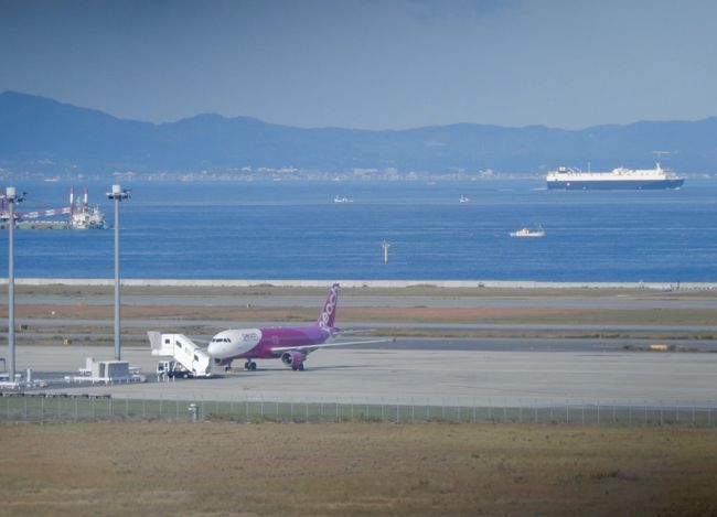 千歳20:00の桃色飛行機で帰阪します<br />冬季は何かと不安要素があるのでJALを利用するのだけど<br />まだ雪で滑走路が云々という心配もないし<br />何よりも今回は長期滞在で出費もそれなりに嵩んだので<br />節約の意味でも桃ちゃんを利用<br /><br />あー(-。-; それなのに、それなのに。。。<br /><br />ピーチさん、期待を裏切らず(笑)遅延されまして<br />最終の電車に間に合わないという状況に…<br /><br />タラップを降り地上に足をついた時点で22:50<br />乗りたい!乗らねばならない南海電車が23時<br /><br />タラップを降りてダッシュの人もたくさんいましたが<br />私はこの時点で諦めました<br />正確には空の上で既に諦めホテルに泊まることを選択しました<br />心でそう決めた時点で、時計と睨めっこしながらイライラする気持ちから<br />スーと解放されたので精神的にも良かったと、結果論ですが思ってます<br /><br />走ってたら間に合ったのかどうかは、わかりません<br />タイミング悪く連絡バスも待機されてなく、数分はバス待ちもしました<br />その列の中にはダッシュされてた方のお顔もありました<br /><br />現実には23時30分発ぐらいの電車が関空の最終でしたが<br />それに乗車した所で、どちらにしても大阪市内で泊まる事になる<br />それなら関空の方が体も気持ちも楽だしね<br /><br /><br /><br /><br />