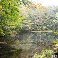 JALどこかにマイル　15回目は青森へ　　1日目　蔦沼散策　蔦湯温泉・八甲田温泉秘湯巡りを堪能