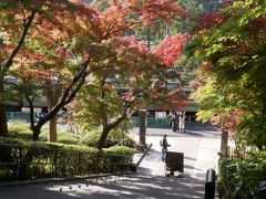 秋の鎌倉へ、紅葉綺麗かな？ぶらっと町歩き編