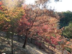 織姫公園（栃木県足利市）へ・・・