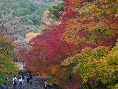 20201115-1 京都 嵯峨野の二尊院まで、紅葉観に行きますか