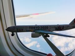 息子の初飛行機はGOTOキャンペーンで函館へ【その1】