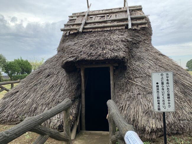 横浜市磯子区にある三殿台遺跡に行ってきました。<br />昭和４１年に国の指定史跡になりました。<br />住居跡を保護した棟や展示棟、復元住居があります。<br />こちらの場所は、東に房総半島、西には丹沢・富士山・箱根、北には秩父連山などがあり景観もよく自然も豊富は場所です。<br />縄文、弥生、古墳時代と、、とても住みやすい環境にあったのでしょう。<br />こちらでは、火おこしや勾玉づくりなどの体験教室もしています。