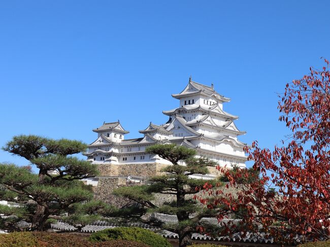 諸事情により県外移動を自粛中の我が家(&gt;_&lt;)<br /><br />県外旅行は4トラベラーの皆さまの旅行記を拝見して<br />行った気分で楽しませていただき<br />今回は、居住地である兵庫県内の姫路市に行ってきました<br /><br />1日目は　姫路グルメと姫路城を楽しみ<br />翌日は　車で北上し、ドライブを楽しみました♪<br /><br />〇費用明細<br /><br />【東横イン　姫路駅新幹線北口】<br /><br />禁煙ツイン　     10,300円<br />Gotoトラベル　△3,605円<br />駐車料（1泊）  　1,000円<br /><br />合計　　　  　 　7,695円（税込）　<br /><br />地域共通クーポン　△2,000円<br /><br />　　