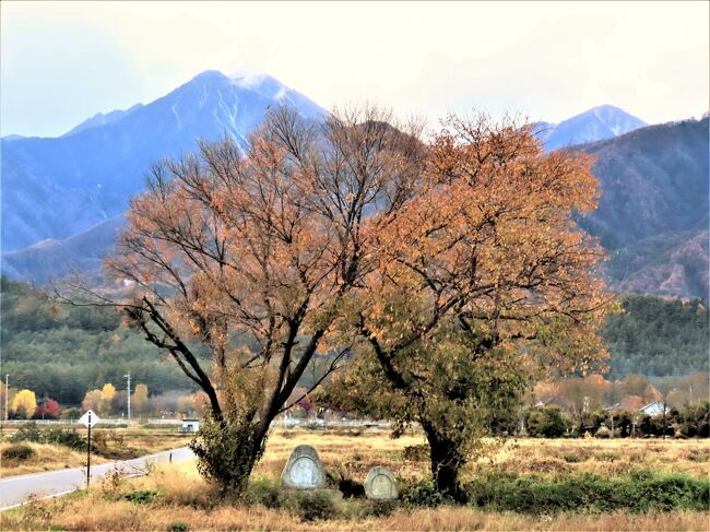 ２０２０年１１月 深まりゆく秋の信州を行く 穂高 安曇野 長野県 の旅行記 ブログ By Hｕｕｍａさん フォートラベル