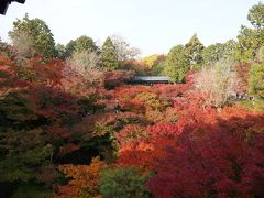 20201116 京都 東福寺の通天橋の紅葉、朝から観に行ってみます