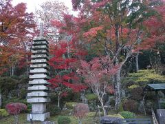 紅葉の箱根（ポーラ美術館・長安寺）へ