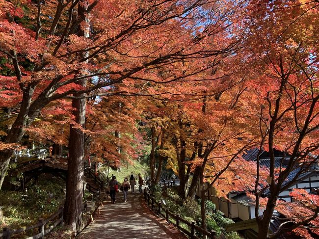 今回の旅は子供達からの結婚記念日のプレゼント(^O^)/<br /><br />初めて行く下呂温泉ですが、「GO TO トラベル」の影響で泊まりたかったお宿が満室で、今回は別のホテルとなりました。<br /><br />が、すべてが初めてずくしで楽しかったです(*^-^*)<br /><br />下呂温泉は岐阜県下呂市(旧飛騨国、岐阜県益田郡下呂町)にある温泉です。<br />林羅山が有馬温泉・草津温泉とともに、日本三名泉に数えたことから、「日本三名泉」と呼ばれています。<br /><br /><br /><br />