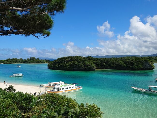 緊急事態宣言後に、由布院へのお祝い旅行、友人との指宿旅行、そしてエーゲ海を巡るギリシャ旅行とキャンセルしましたが、石垣島は秋の予約だったので、そのままにしてました。<br /><br />ANAダイナミックパッケージで飛行機とANAインターコンチネンタルホテル2連泊予約してました。4泊5日の予定で残り2泊は未定でした。<br />go to travelが始まり、旅行計画を再考してANAダイナミックパッケージをキャンセルし、飛行機取消料￥8000(1区間￥2000×4)を支払ってgo to travelで取り直しました。タイムセールしていたJALダイナミックパッケージを予約。go to travel利用で￥44000引き、￥19000地域共通クーポン付となりました。オプションはgo to travelの適用外になってました。レンタカー4泊5日￥7700と石垣島鍾乳洞の入場券￥500はオプションなので対象外でした。まあ、十分破格の値段です(^^:)<br /><br />11月の沖縄は冬シーズンになりますが、海はまだ入れます。<br />ただ海を見てのんびり過ごそうと思って竹富島と石垣島に行きました。でも、甘かったです。石垣島では冬シーズンの意味を知る事になりました。<br /><br />まずは早朝の便で那覇へ行くので、博多駅近くのホテルに宿泊します。<br />webサイトの割引クーポンとgo to travel利用でホテル代金は￥3300になりましたが、更に11/5から福岡避密の旅クーポンがコンビニから販売されて￥1000クーポン3枚を半額の￥1500で購入。<br />ホテルでは、クーポン￥3000(実質￥1500)と残金￥300支払いました。そして地域共通クーポン￥1000いただいたので、差し引くと￥800で泊まれるのと同じですよね。<br /><br /><br />更に福岡県民プランだったので、珈琲ドリップ(5袋入)とホテルのカフェレストランの無料ドリンク券と除菌スプレーもいただきました。とってもお得に泊まれて嬉しい(≧▽≦)<br /><br />コロナ禍なので、気をつけなければなりませんが、お得に泊まれるのは嬉しいです。