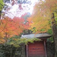 紅葉の名所　永観堂と東福寺通天橋で癒され、世界遺産の平等院鳳凰堂と宇治上神社で、パワーをいただいた旅！