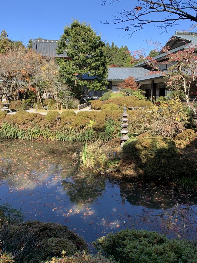 輪王寺の庭園を楽しんでから昼食、帰宅