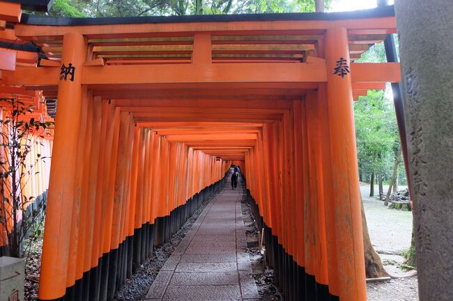 2020年は、例のウィルスのせいで海外旅行は行けませんので、国内旅行を楽しんできました。<br />7月末の京都は、とても暑く最高気温が32度ぐらい、やはり関東とは暑さのレベルが違いました^^;<br /><br />GOTOトラベル申し込みまして、一度旅費は全額度手出しになるものの、後ほどGOTOトラベル部分の料金が還付されるとのこと。8月中旬申請で、11月上旬に還付されました。<br /><br />修学旅行以来の京都旅行の始まりです。<br />2日目は、伏見稲荷大社、清水寺、八坂神社と寺社巡りを楽しんできました。<br />尚、当ブログはただの備忘録であります。<br />現地情報は、その都度変更になることもございますので、ご了承願います。