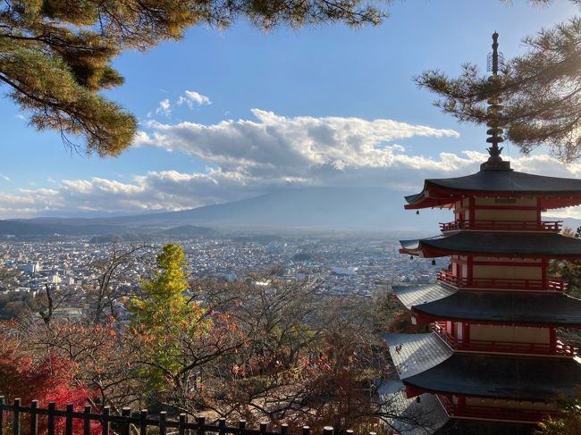 富士山と五重塔が見えるので有名な新倉富士浅間神社、大きなご神木がそびえ立つ北口本宮冨士浅間神社を参拝して御朱印も頂きました。帰りに御殿場でお気に入りの「二の岡ハム」の美味しいボロニアソーセージをお土産にしました。