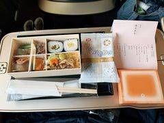 2020年11月Go To 軽井沢北陸新幹線グランクラス＆食料品お買い物スポットツルヤ御代田片山肉店