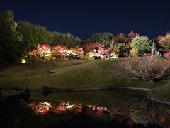 20201117-2 京都 梅小路公園 朱雀の庭の紅葉まつり。紅葉と池とライトアップ。
