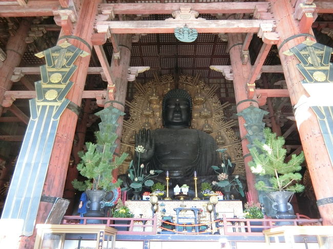 本来ならば今年は4ヶ国に行く予定でしたがコロナで全て中止となってしまいました。<br />今年はもうどこにも行かないつもりでしたが、アゴダで予約していたホテルをキャンセルしたら期限付きのアゴダコインで返金され、その期限が迫っていた為急遽2週間前に奈良行きを決めました。<br /><br />奈良に行こうと思ったは、コロナの自粛期間中に読んだ漫画「天智と天武」「長屋王残照記」「女王の手記」の影響で(笑)全部奈良時代辺りの設定の漫画です。歴史漫画読むとその地へ行ってみたくなります。聖地巡礼の旅です♪<br /><br />普段公共交通機関を滅多に使わないのでこのコロナ禍、公共交通機関を使うのにまだちょっと抵抗があって。(しっかり対策すれば多分大丈夫なんだとは思いますが)<br />なので今回は車&レンタサイクル&徒歩での観光としました。マスクや除菌シート、除菌スプレー持参でしっかりコロナ対策もしていきました。<br /><br />仕事も忙しかったりして中々計画も上手く立てれずちょっと準備不足だった感はありましたが、久しぶりに一人旅を満喫してきました♪<br />1泊2日奈良の旅一日目です。