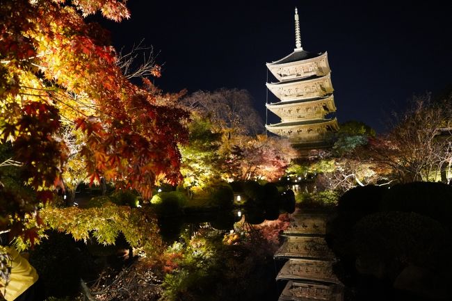 こないだ下見？に来ました、東寺の夜間拝観。今日は中に入れてもらいましょう。紅葉もえぇ感じやと嬉しいけれど。