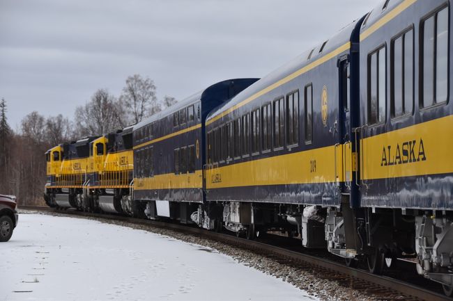 シカゴ在住の夫婦のコロナ禍のアラスカ旅行の中でのアラスカ鉄道乗車の記録です。<br />コロナ禍ではありますが、アラスカへの旅行は条件を満たせば可能で、PCR検査を事前に受けネガティブである結果を持ってアンカレッジに行き、そこからアラスカ鉄道にAnchorageからFairbanksまで乗りました。<br />客車はたった２両。席を一列ずつあけてた形で座席が指定されていました。食堂車も連結されず、サンドイッチ等の食事が提供されてそれぞれが席で食べるという形でしたが、もうすっかり雪景色になったアラスカの車窓の風景を満喫してきました。<br />