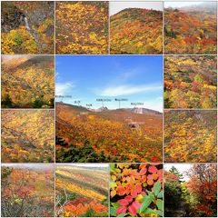 ◆”ほんとの空”の安達太良山は紅葉の曼荼羅だ！①