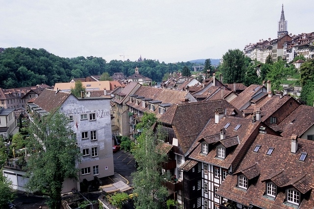 2008年5月24日から6月1日までの9日間、スイスとフランス(パリ)を列車で回る旅をしました。<br />旅の前半はスイスで4泊してアルプス山岳地方のハイキング、後半のフランスではパリで3泊して街歩きをメインに楽しみました。。。<br />旅行の前日までは仕事で泊りの出張。出張から帰った夜から荷造りの始まりです。「持って行く物リスト」はちゃんと手帳に書き込んであるので、手帳を見ながら忘れ物がないように旅行カバンに放り込むだけ。今回は、フイルムカメラのみでの撮影に挑戦しました。空港のX線検査が気になりますが、一枚一枚じっくりとフイルムカメラで撮影するのは、その緊張感があっていいものです。<br />PENTAX LX, PENTAX FA 31mm F1.8AL Limited, FUJI RVP F<br />ASAHI PENTAX MX, PENTAX FA 77mm F1.8 Limited, PENTAX-M 135mm F3.5, FUJI RVP F<br />RICOH GR1, FUJI RXP