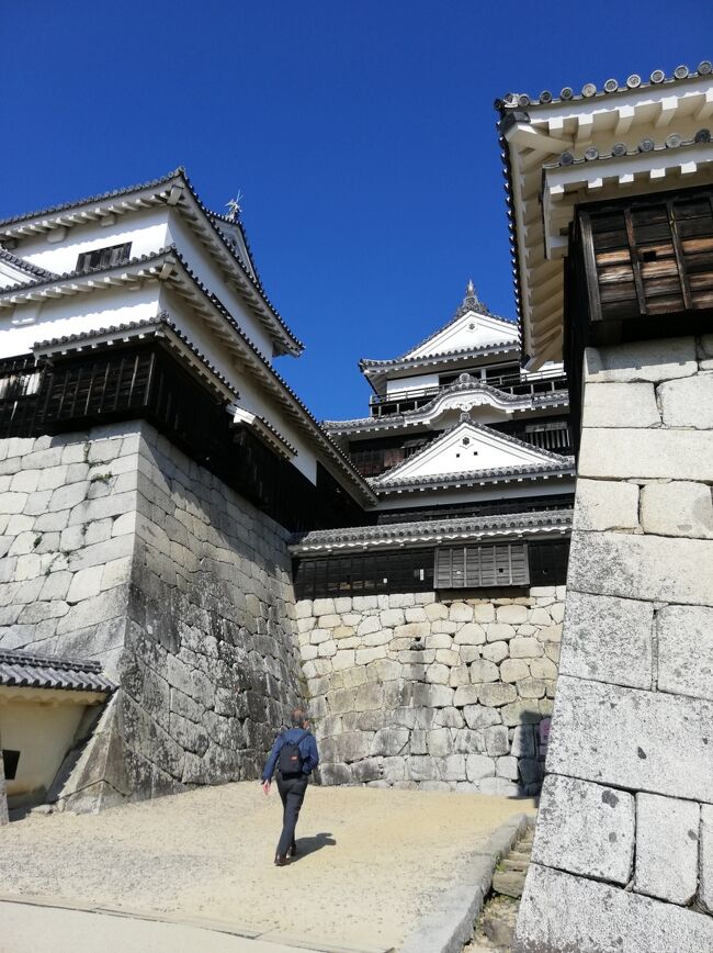 私にとっては初めての四国!<br />出発はツレと一緒ですが、私は4泊5日、ツレは12泊13日の旅行を希望なので、GO to トラベルで別々に航空券と最初の1泊を予約しました。その1泊は同じホテルに、私はシングル、ツレはツインを予約して、現地で私のシングルルームをそのままキャンセルします。<br />と言うことで、変則Go to 使用の4泊5日の四国 松山の旅です。