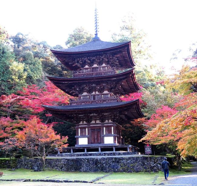 2020年の日本紅葉巡りドライブの最後は、滋賀&京都へ。紅葉シーズンでは、京都は2010年以来10年ぶり、滋賀は2002年以来18年ぶりだ。滋賀県内は、見どころが分散しているので、ほとんど車で移動。京都市内は、車で走り回るのはかなりハードルが高いので、滋賀に車を置いて電車で入ることに。八幡平に続いて友人を連れての3人旅だったが、京都の日曜日がものすごい混雑だった以外は、どこも比較的空いていて、久しぶりの滋賀・京都観光を堪能することが出来た。滋賀の第一部は、初日に東京を出発して、湖東三山のひとつ、西明寺を訪れた時のものです。(表紙写真は西明寺の国宝・三重塔)<br /><br />全旅程<br /><br />11/12 東京ー(中央道/名神)->湖東三山PA->西明寺ー>八日市駅前<br /> (ホテルルートイン泊) <br /><br />11/13 八日市駅前ー>永源寺ー>金剛輪寺ー>八日市IC-(名神)ー><br /> 竜王IC-> 長寿寺ー>常楽寺ー>瀬田 (ニューびわこホテル泊)<br /><br />11/14 瀬田ー>石山寺ー>日吉大社&旧竹林寺ー>奥比叡ドライブウェイ<br /> ->横川ー>延暦寺ー>比叡山ドライブウェイー>大津京駅<br /> (車を駅前の駐車場に置く)-(JR)ー>京都ー(地下鉄)ー>烏丸四条<br /> (グリッズ京都四条河原町泊)<br /><br />11/15 烏丸四条―(バス)ー>高雄(神護寺から清滝へ)<br /> 清滝ー(バス)ー>嵐山(宝厳院)-(嵐電/地下鉄)ー>蹴上ー><br /> 永観堂ー> 蹴上ー(地下鉄)ー>京都市役所前 <br /> (ホテルビスタプレミオ和邸泊)<br /><br />11/16 烏丸四条ー(地下鉄/JR)ー>東福寺駅ー>東福寺―(京阪)ー><br /> 祇園四条->ホテルで荷物をピックアップして京都駅へ<br /> 京都ー(JR)->大津京(車をピックアップ)ー>大津ICー<br /> (名神)->八日市ICー>教林坊ー>八日市IC-(名神)ー><br /> 彦根ICー>彦根 (ホテルサンルート泊)<br /><br />11/17 彦根ー>(名神/中央道)->東京<br /><br />