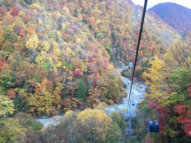 写真はロープウェイの空中から楽しむ立体的な美しい紅葉です。<br />翌日更に上に登ってゆくと紅葉の樹々は繊細な白銀細工のように<br />白く輝く冬の世界へと変貌して行きました。<br />（次のページに翌日の関連写真を掲載しています）<br />私たちは瞬く間に自然が秋から冬へ鮮やかに表情を変えていく<br />美しさを目の当たりにして感動しました。<br /><br />今回もツアーでお知り合いになった方の写真を使わさせて<br />いただきました。ありがとうございます。<br /><br />ここ10年近く世界の様々な国を訪ねましたが紅葉がこのように<br />美しい国はなかったように記憶しています（まだ体験不足ですが）<br />「灯台下暗し」という諺がありますが日本の自然の美しさを改めて<br />認識いたしました。<br />海外からインバウンドで大勢の観光客が日本を訪れる理由が分かり<br />ます。<br /> 今後は春夏秋冬のそれぞれの美しく変化に富んだ日本を旅してみたい<br />と思います。<br />温泉に浸かったり各地の名物料理を楽しみたい。<br />またそれぞれの土地の錦織のように彩られてた豊かな文化や長い歴史<br />にも触れてみたい。<br /><br />でも私たちに残された時間はあまりありません。<br />今回は「限りある命のひまや秋の暮れ」（蕪村）という俳句の<br />意味をしみじみと感じてしまう旅となりました。<br /><br />＜旅のスケジュール＞<br />1日目<br />東京駅（10：16発）＝＝上越新幹線【普通車/指定席】<br />＝＝上野駅（10：22）＝＝<br />大宮駅（10：42）＝＝越後湯沢駅11:35<br /><br />[遊覧1]上越線　乗車時間：約15分＝＝塩沢駅13:13発4つ目の<br />塩沢宿着、約30分＝＝清津峡トンネル（日本三大渓谷のひとつ）<br />約60分<br />＝＝越後中里温泉（泊）　16：00～17：30頃着<br />バス走行距離/40ｋｍ<br />【エンゼルグランディア 越後中里【指定】 025-787-2811】<br />朝食：-昼食：×（各自持参）夕食：ブッフェ<br /><br />2日目	<br />ホテル（8：00頃発）＝＝<br />[遊覧2]田代ロープウェー＝＝【徒歩：約25分】＝＝<br />[遊覧3]苗場ドラゴンドラ<br />（日本最長5,481mの長さを誇るゴンドラで絶景）<br />【合わせて約130分】<br />＝＝洋食のホテルランチ【約50分】＝＝<br />[遊覧4]奥只見湖遊覧船<br />（湖を取り囲む山々が湖面に映える景観を遊覧船から<br />ご覧ください）【約80分】<br />＝＝斑尾高原（泊）　17：30～18：30頃着<br />バス走行距離/245ｋｍ<br /><br />【ご案内】<br />行程中２日目：田代ロープウェイですが、<br />10月3日～11月8日まで営業予定となっておりましたが、<br />新型コロナウイルス感染症の影響により、<br />紅葉シーズンの営業中止が8月27日付けで決定いたしました。<br />（苗場ドラゴンドラは通常通り運行）<br />そのため、「田代ロープウェイ～苗場ドラゴンドラへ通り抜け」⇒<br />「苗場ドラゴンドラ往復乗車」へ変更させて頂きます。<br />【ご宿泊先：ホテル　タングラム【指定】 026-258-3511】<br />朝食：バイキング又は和定食（ホテルにお任せ）<br />昼食：洋食ランチ夕食：バイキング又は和食膳<br /><br />3日目	<br />ホテル（8：30～9：30発）<br />＝＝[遊覧5]飯山線ローカル列車【注　乗車時間：約15分】<br />＝＝替佐駅＝＝<br />[遊覧6]ソラテラス（竜王マウンテンパークのゲレンデにある<br />素敵な絶景テラス）<br />【約50分】<br />＝＝○小布施（歴史と栗の町）【約90分】＝＝<br />[絶景]○松川渓谷（滝の裏からも豪華な流れを見られることから<br />名付けられた「裏見の滝」、<br />八段になって流れ落ちる八滝をご覧いただけます）【約50分】<br />＝＝松代（泊）　17：00～18：00頃着<br />バス走行距離/120ｋｍ<br />【ロイヤルホテル長野【指定】 026-278-1811】<br />朝食：バイキング又は和定食　昼食：×（自由昼食）<br />夕食：和洋折衷料理<br /><br />4日目	<br />ホテル（8：00～9：00発）＝＝☆おぎのや長野店【約20分】<br />＝＝許可されたタクシーでしか行けない秘境<br />[絶景]○高瀬渓谷（錦の紅葉が織りなすコントラストをお楽しみ）<br />約60分<br />＝＝☆エスカルプラザ（自由昼食）【約60分】＝＝<br />[遊覧7]白馬マウンテンハーバー（北アルプスが一望できる<br />山頂テラス）【約80分】<br />長野駅＝＝北陸新幹線【普通車/指定席】＝＝<br />大宮駅（18：26～20：26着）<br />＝＝上野駅（18：46～20：46着）＝＝<br />東京駅（18：52～20：52着）<br />バス走行距離/155ｋｍ<br />朝食：バイキング又は和定食（ホテルにお任せ）<br />昼食：（昼食）<br />