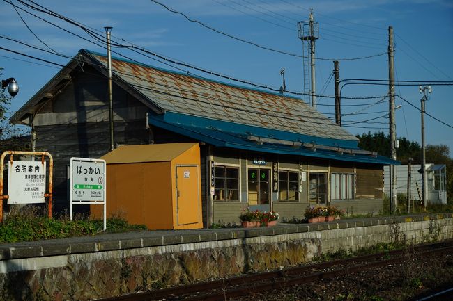 GoToトラベルでどこか行こうと考えたのが夏の暑くてたまらない時期。もう北海道しか思い浮かばず、ずっと乗ってみたかった宗谷本線で稚内に行こう、ということになりました。<br />最終日は朝早く起きて、陽気な運転手さんのタクシーに乗っていわゆる「秘境駅」として知られる抜海駅へ。本州ではなかなかなさそうな「開けた場所にある秘境駅」。つぎはぎの日本最北木造駅舎を味わいました。