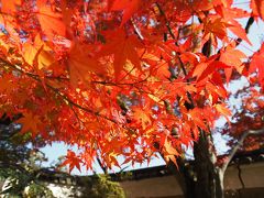 紅葉の大門寺へ