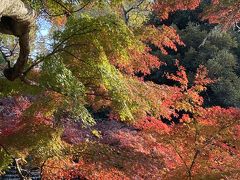 紅葉の深大寺で疫病退散祈願