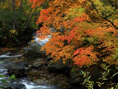 こんな所があったなんて！関東の奥入瀬「照葉峡」の紅葉がすごい！！