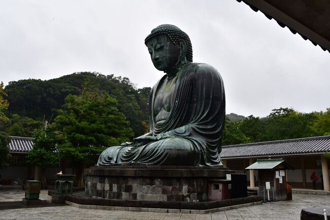 神奈川県：大倉御所、若宮大路御所、宇津宮辻御所（その2）