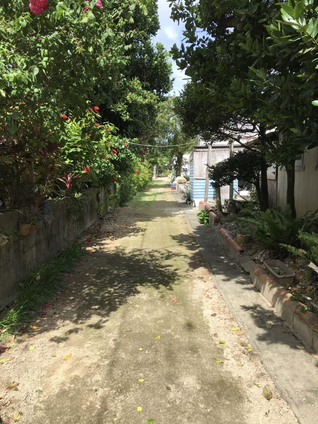 八重山諸島ぶらぶら独り旅③（浦内川から徒歩で白浜港、そして船浮へ～後編）