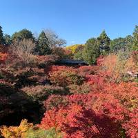 2020年11月　京都に紅葉を見に行く旅　1日目