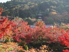 20201118-1 京都 朝から永観堂禅林寺の紅葉を観に出かけます