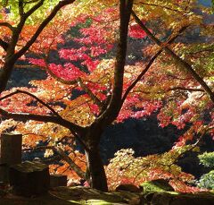 団塊夫婦の日本紅葉巡りの旅(2020滋賀ハイライト)ー18年ぶり・永源寺再訪