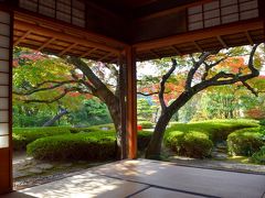 福岡市の庭園　松風園