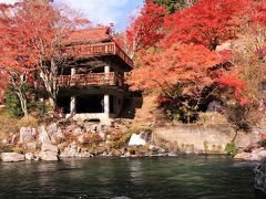 錦繍の紅葉を追いかけて♪　大井平公園の紅葉♪