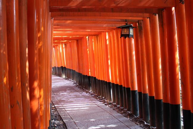 東寺に続き今まで見送っていた伏見稲荷を見に行きます。<br />10年前はちょっと観光コースから外れてるからと後回しに、近年では尋常ではない混み具合に腰が引けていました。<br /><br />伏見稲荷は地下鉄九条駅（大石橋停留所）からバスで東福寺まで行き電車に乗り換えていくと意外と近いのでした。<br /><br /> &gt; 市バス202・207・208 大石橋 - 東福寺<br /> &gt; 阪急電車 東福寺 - 伏見稲荷<br />伏見稲荷