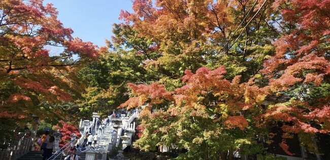 11月の中旬、紅葉のピークを迎えた大山に行ってきました。<br />阿夫利神社下社の境内ではとても素晴らしい紅葉を見ることができました。<br />平日でしたが、人は多かったです。<br />アクセスの面では、部分開通している新東名の伊勢原大山インターができたので、とてもスムーズに行くことが可能になりました。