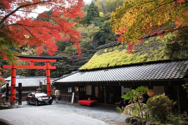 ２０２０秋の京都１泊２日★６　嵯峨鳥居本から祇王寺へ