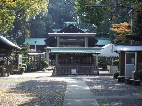 小春日和に誘われて行きました。