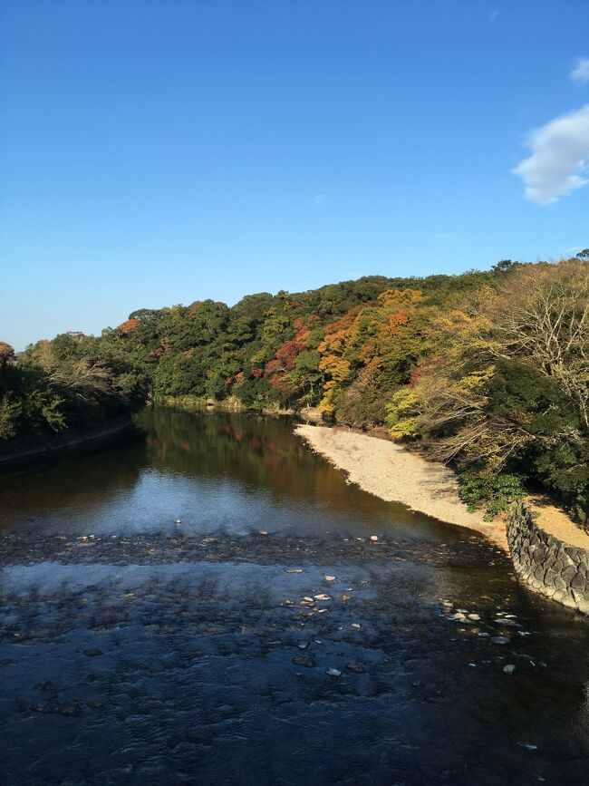 名古屋へ行くついでに前から興味のあった伊勢神宮参拝へ行くことにしました。<br />今年はコロナに家族も病気があったりと、ここは神様にきちんとお祈りをしなければ、との気持ちがありました。<br />宿は伊勢近くの松阪に取り松阪牛も堪能しました~