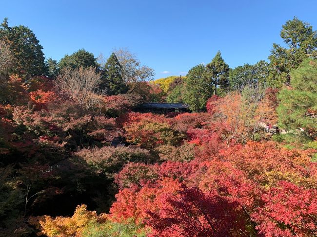 2020年11月　京都に紅葉を見に行く旅　1日目