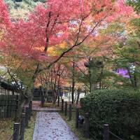 ★凄い★京都の紅葉・もみじの永観堂～～南禅寺はこの次に・・・