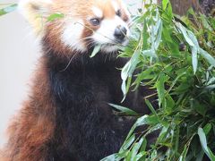 冬季営業の旭山動物園